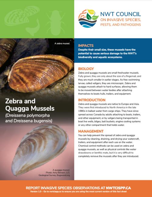 first page Zebra and Quagga Mussels